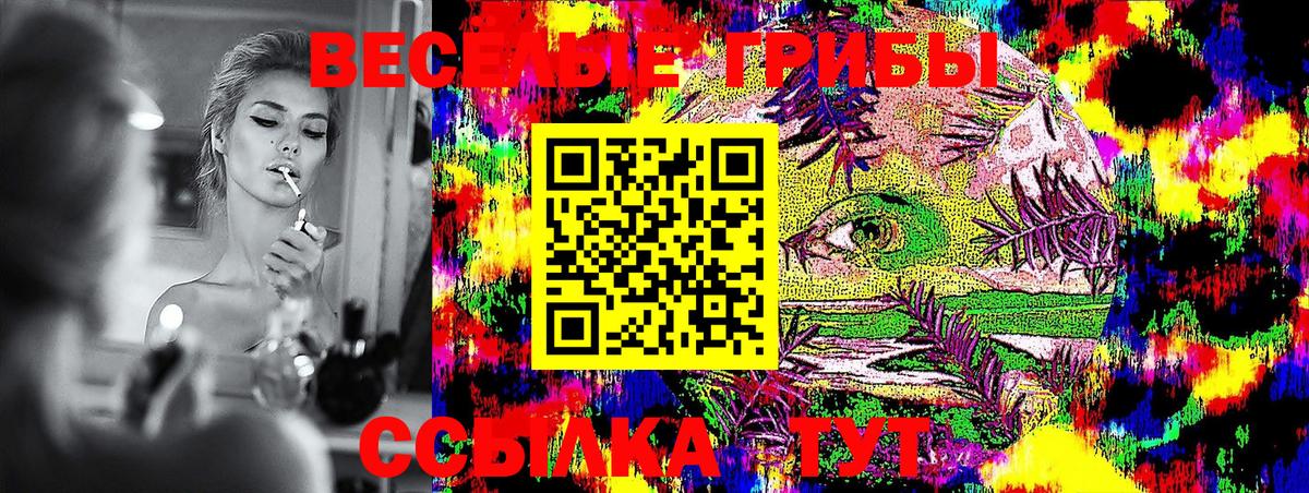 Галлюциногенные грибы Cubensis Лесной